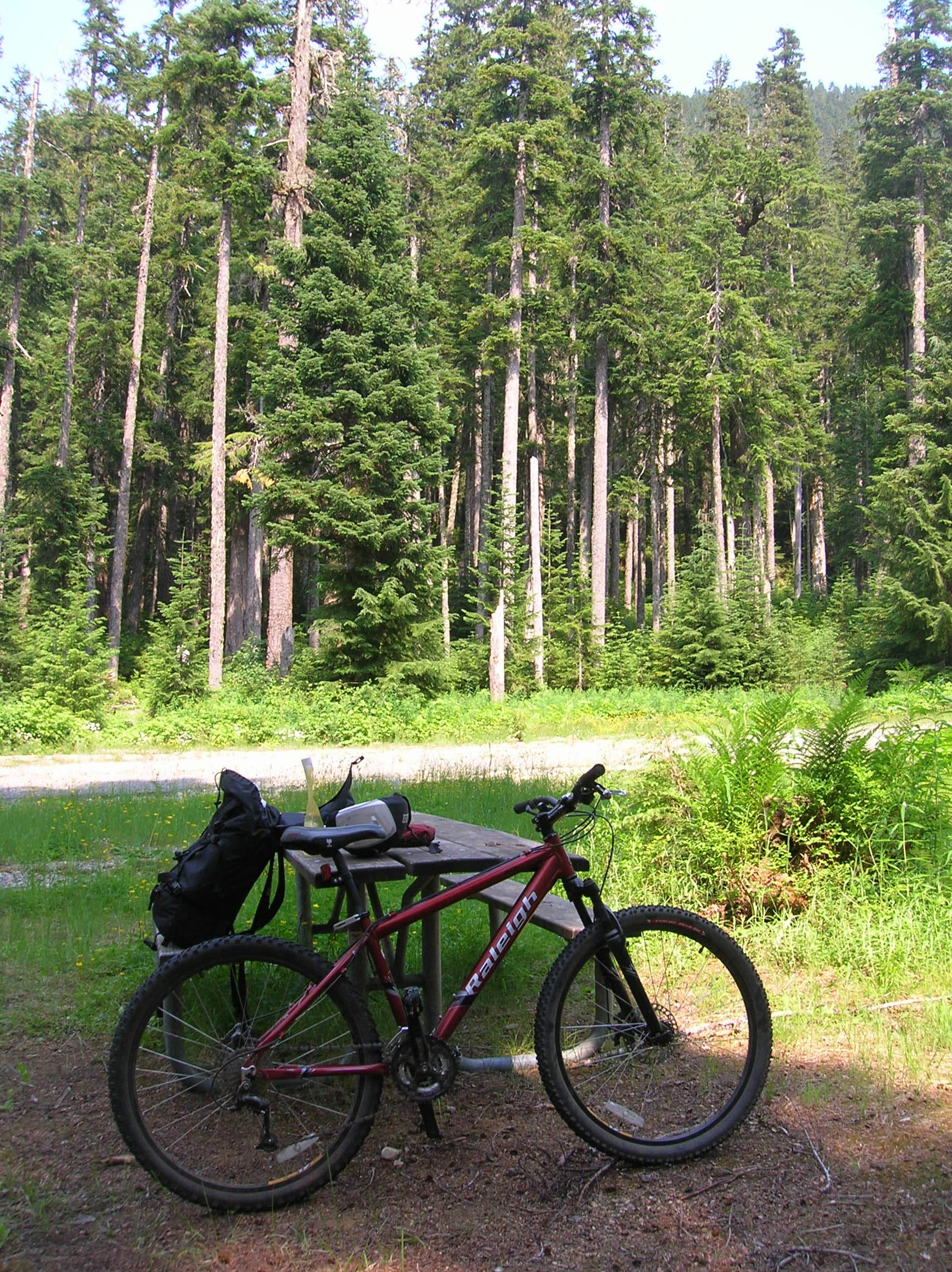 Biking in the Mount Baker-Snoqualmie National Forest