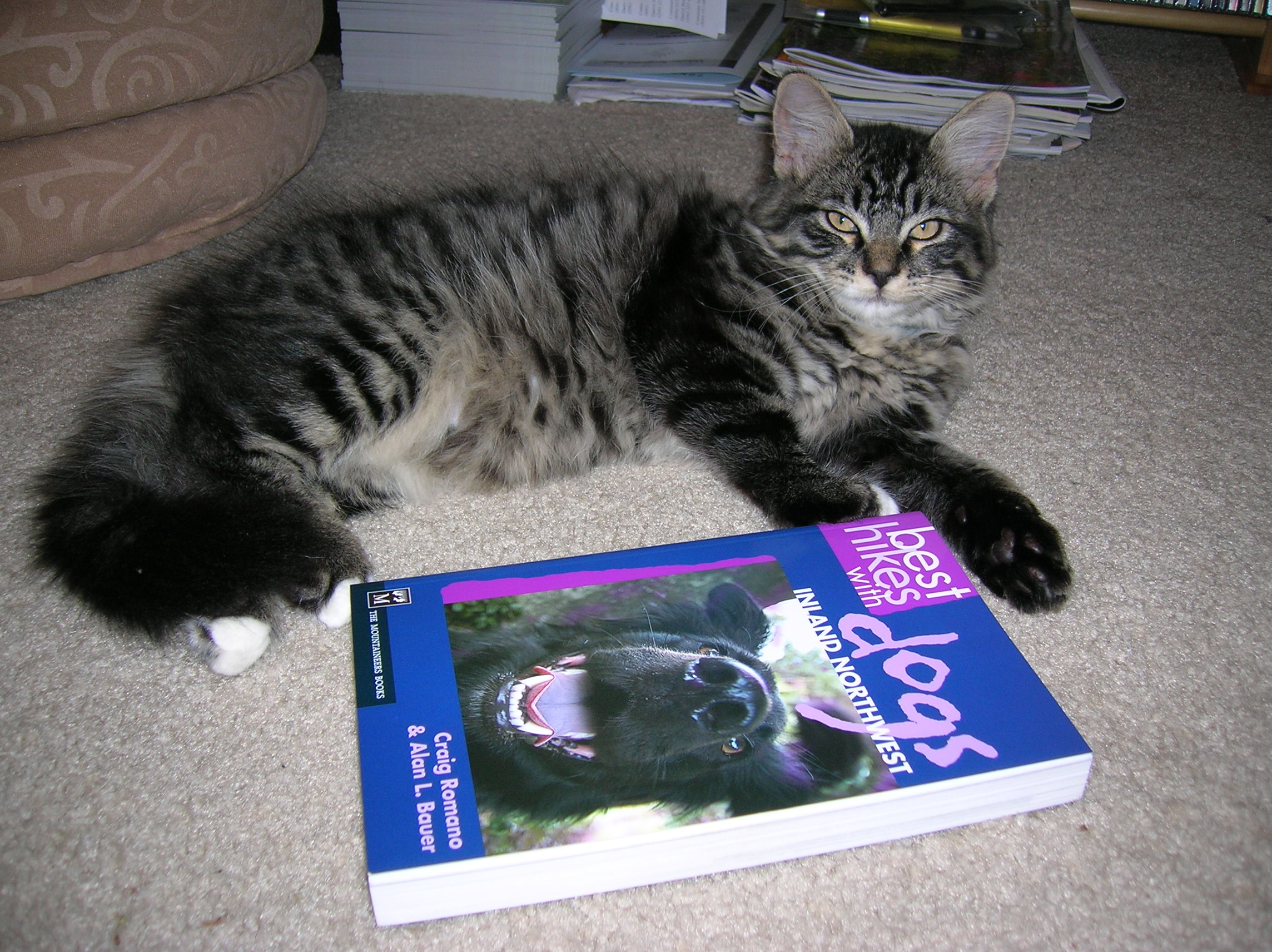Office assistant Giuseppe reviews one of Craig's books