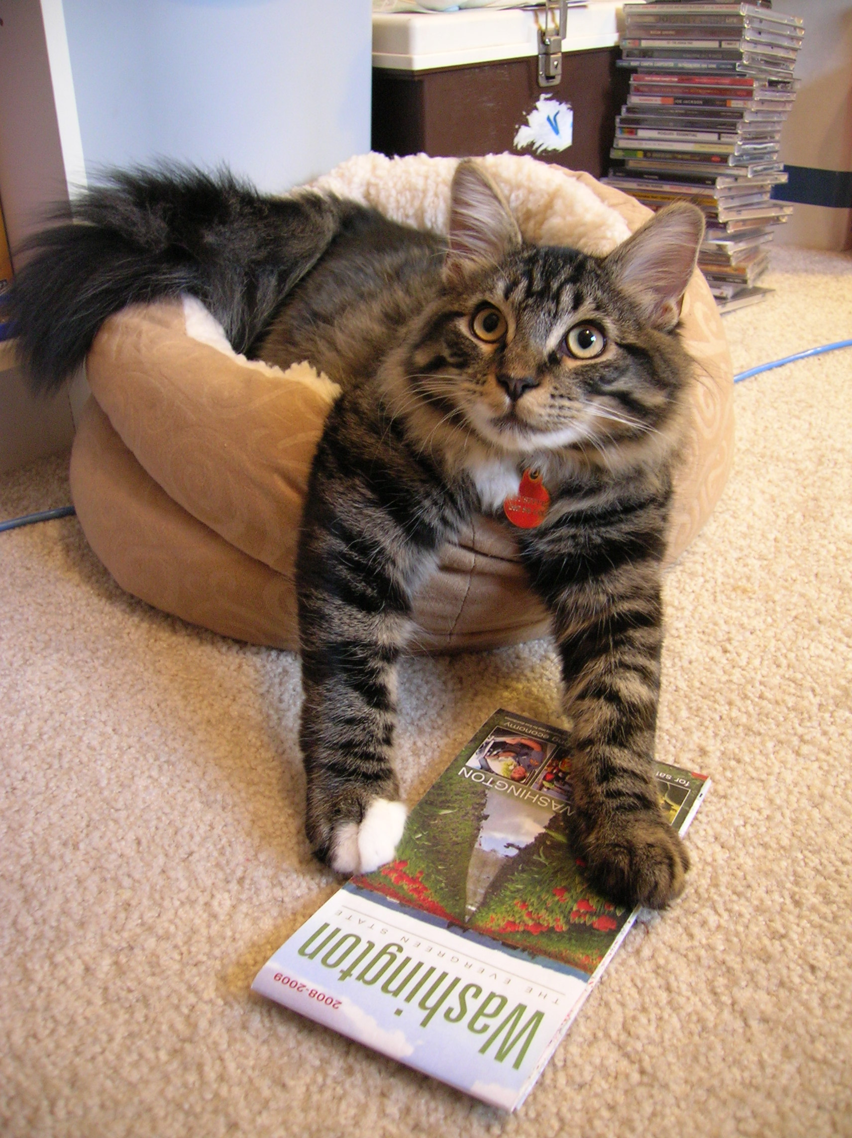 Giuseppe maps out an adventure