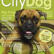 CityDog magazine Winter 2008 Cover
